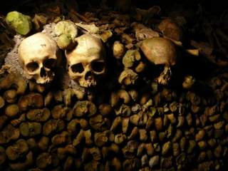 Catacombs skullery Paris