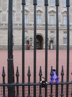 Just another day at Buckingham Palace