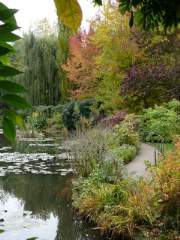 Aussie tourist in Monet gardens