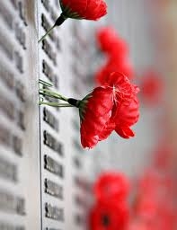 Poppies on wall of rememberance