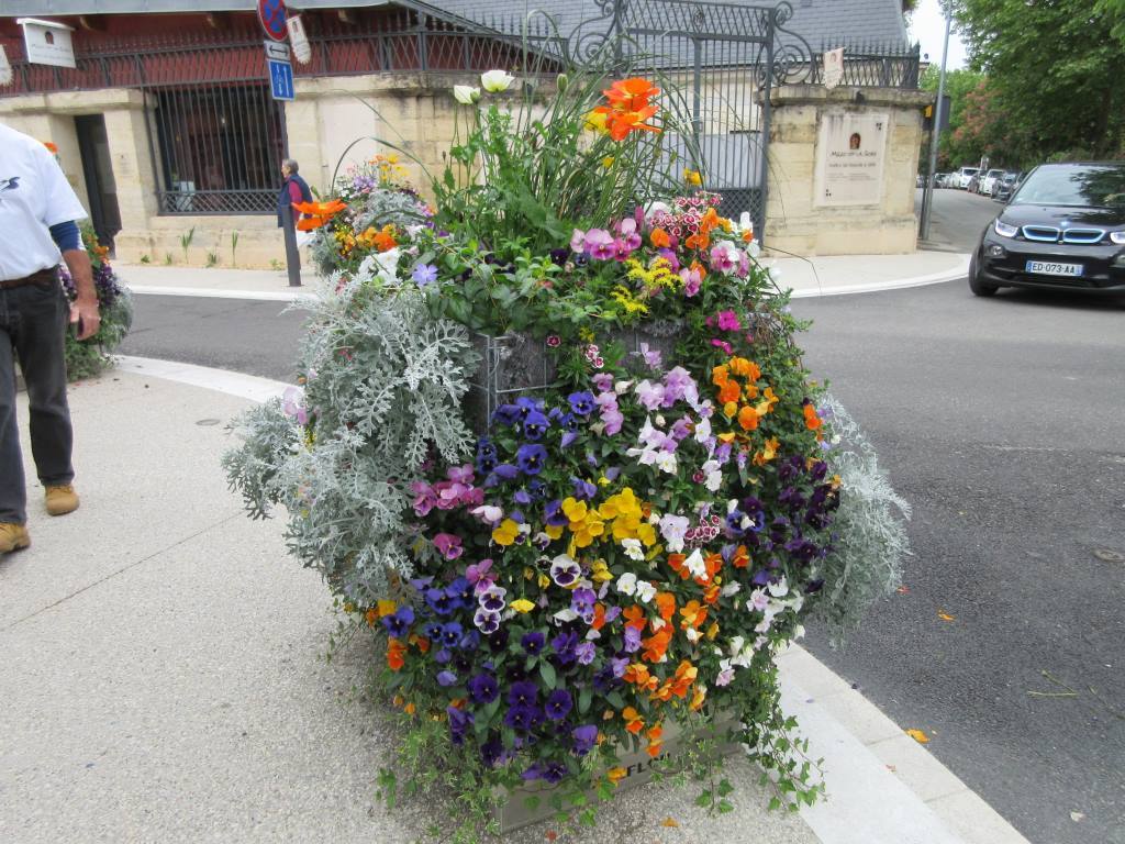 flowers in marmande