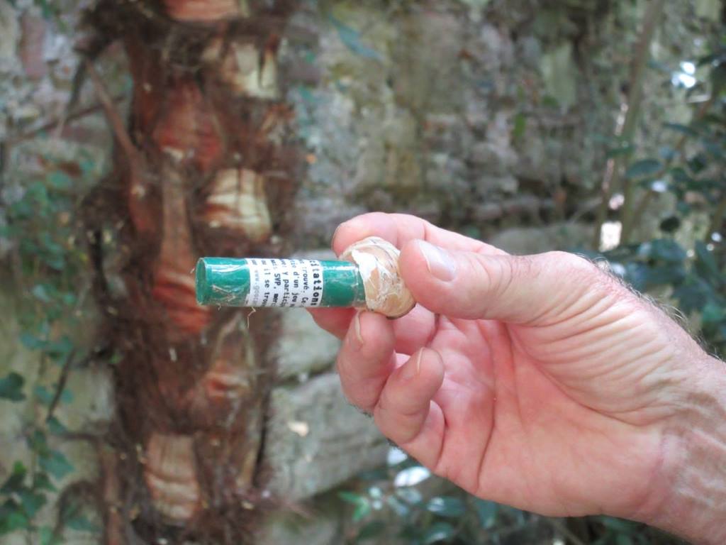 snail cache