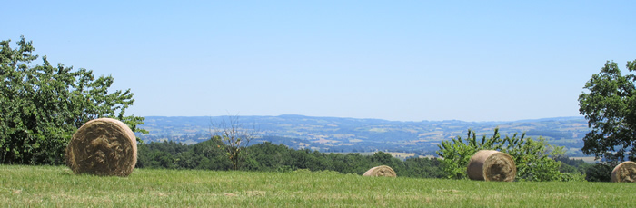 hay-bales